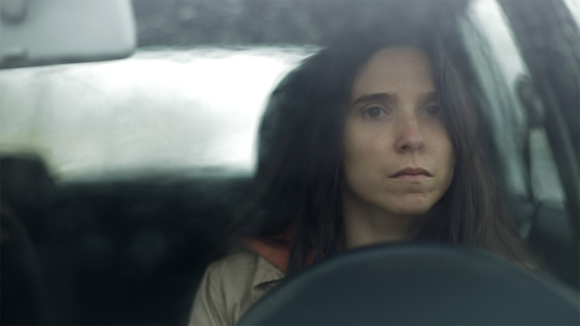 Trenque Lauquen: Bölüm 1 görsel 1